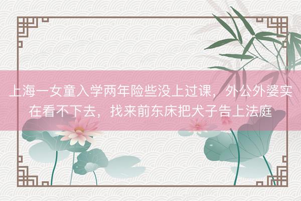 上海一女童入学两年险些没上过课,外公外婆实在看不下去,找来前东床把犬子告上法庭